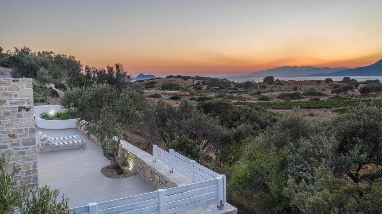 Irene Komos Independent House Pitsidia Dış mekan fotoğraf